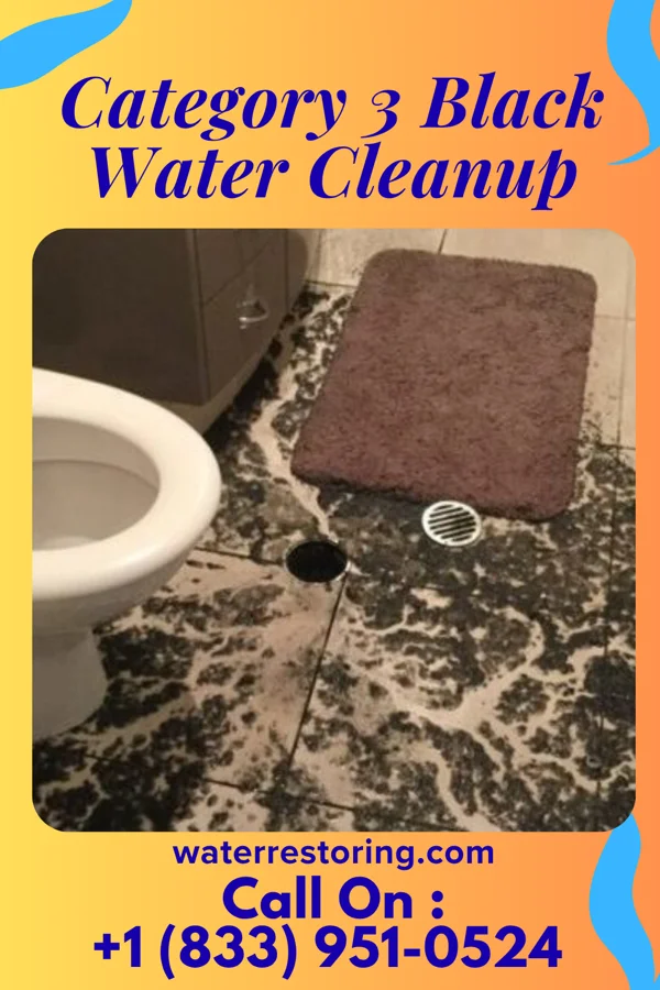 Category 3 Black Water Cleanup in Piedmont, OK